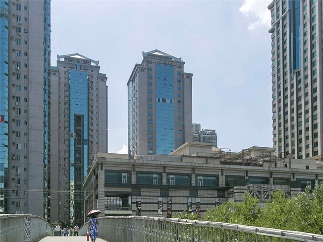 丽水哪种领头牛价格信息